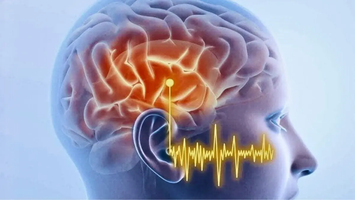 Scientific diagram of the auditory neural pathway from ear to brain showing disruption